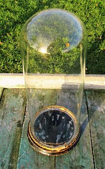 Antique Round Hand Blown Glass Globe Dome Taxidermy Steampunk Display 18.19"