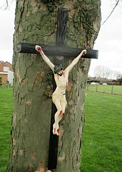 Very Large Carved Wood Hanging Crucifix Gorgeous Antique corpus Church 47.24" !