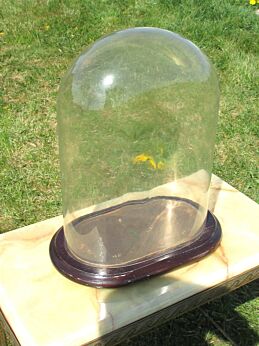 Antique Oval Hand Blown Glass Globe Dome Clock Display Doll Steampunk 13.39"