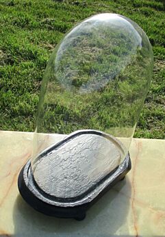 Antique Victorian Oval Hand Blown Glass Globe Dome Taxidermy Steampunk 12.01"