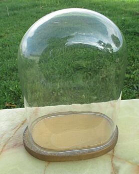 Vintage Oval Glass Globe Dome Bell Cloche Display Hand blown Taxidermy Clock doll antique supply