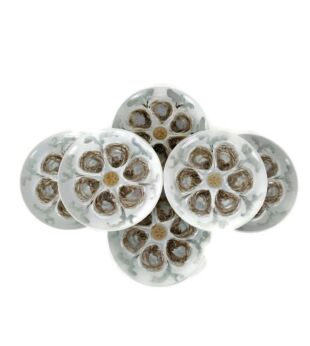 stylish Set of 6 French Oyster Plates Porcelain Faience de St Amand Hand Painted 