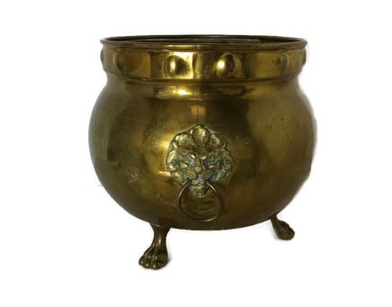 Large Indoor Planter Vintage Brass Kettle Decorative Lion Head Lion Feet Gothic 