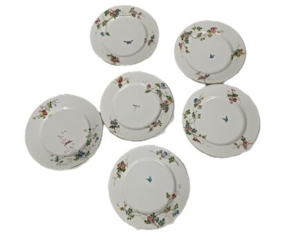 set of 6 Victorian antique 19th century breakfast plates Hand painted flowers butterflies dragonflies 