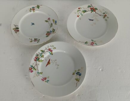 set of 3 Victorian antique 19th century breakfast plates Hand painted flowers butterflies dragonflies