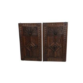 Antique Carved Wood Cabinet Doors with Lion Heads - Pair