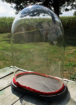 Victorian Antique Oval Display Glass Dome Globe Mantel Clock doll 15.35"