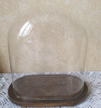 Antique Oval Hand Blown Glass Globe Dome Taxidermy Steampunk 12"