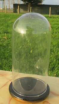 Small Vintage Round Glass Globe Dome Bell Cloche Display Hand Made Taxidermy Clock Steampunk