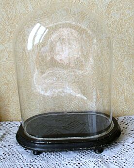 Antique Oval Hand Blown Glass Globe Dome Taxidermy Steampunk  14"
