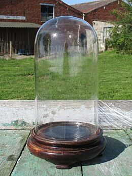 Antique Round Hand Blown Glass Globe Dome Taxidermy Steampunk Display 10.12"