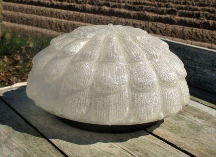 Vintage Frosted Glass Sconce Lamp Shade era Limburg Helena Tynell