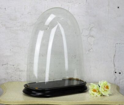 Antique Victorian Oval Hand Blown Glass Dome Globe Display Steampunk 14.5"