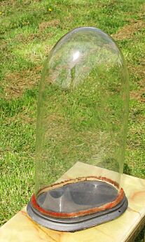 L Antique Victorian Oval Hand Blown Glass Globe Dome Taxidermy Steampunk 18.31"