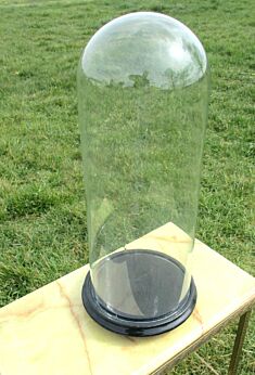 Antique Round Hand Blown Glass Globe Dome Taxidermy Steampunk Display 19.69"
