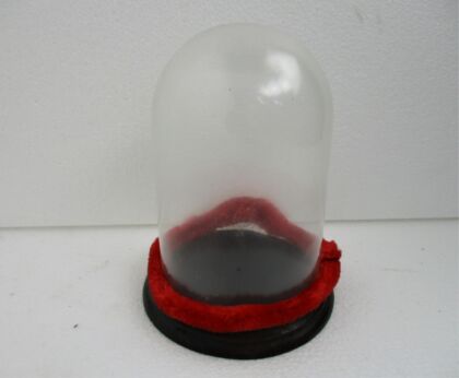 Small Antique Round Hand Blown Glass Globe Dome Taxidermy Steampunk Sweet 6.29"