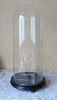 Antique Victorian Round Hand Blown Glass Globe Dome Taxidermy Steampunk Display 19.3