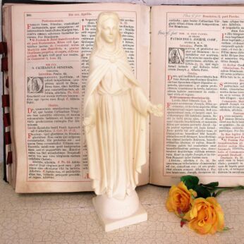 Statue Virgin Mary Our Lady Madonna delle Rose Resin Faro HTF Collector