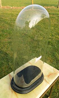 L Antique Victorian Oval Hand Blown Glass Globe Dome Taxidermy clock Steampunk Display 19.3"