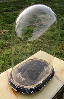 Antique Victorian Oval Hand Blown Glass Globe Dome Taxidermy Steampunk 12.99"