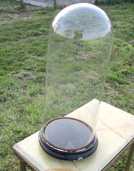 Antique Round Hand Blown Glass Globe Dome Taxidermy Steampunk Display 18.11"