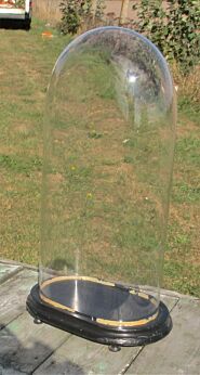 Xl Victorian Antique Oval Display Glass Dome Globe Mantel Clock doll 20.47"