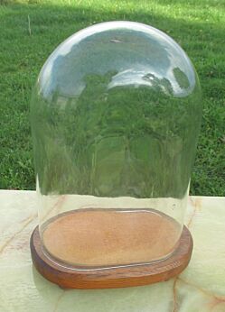 Vintage Oval Glass Globe Dome Bell Cloche Display Hand blown Taxidermy Clock doll antique supply