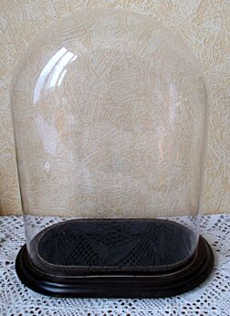 VVintage Oval Glass Globe Dome Bell Cloche Display Hand blown Steampunk 14.2"