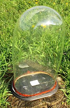 Xl Victorian Antique Oval Hand Blown Glass Dome Globe Doll Mantel Clock 19.3"