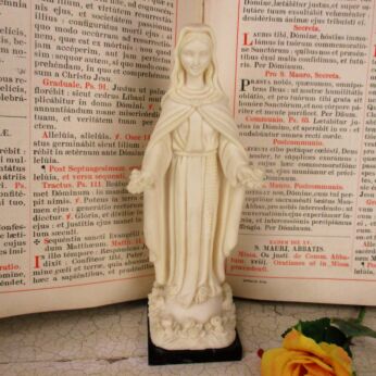 Statue Virgin Mary Our Lady Madonna delle Rose Resin Faro HTF Collector