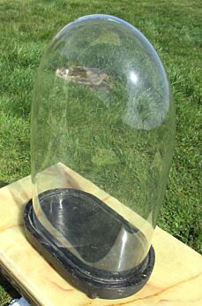 Antique Victorian Oval Hand Blown Glass Globe Dome Display Doll Steampunk 14.57"