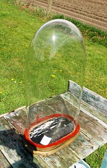 Xl Victorian Antique Oval Hand Blown Glass Dome Globe Mantel Clock 19.85"