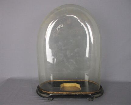 Antique Victorian Oval Hand Blown Glass Globe Dome Doll Clock 19.68" H 14.96"!!