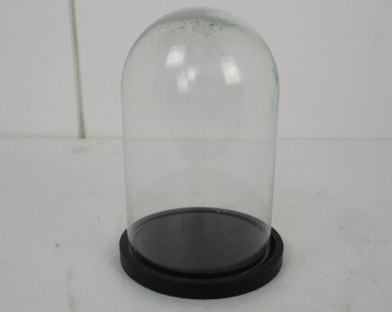 Small Vintage Round Hand Blown Glass Dome Globe Steampunk Display 9.25"