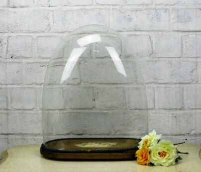Victorian Antique Oval Hand Blown Glass Dome Globe Display Steampunk 14.56"