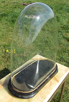 Antique Victorian Oval Hand Blown Glass Globe Dome Display Mantel Clock Doll Steampunk 15.75"