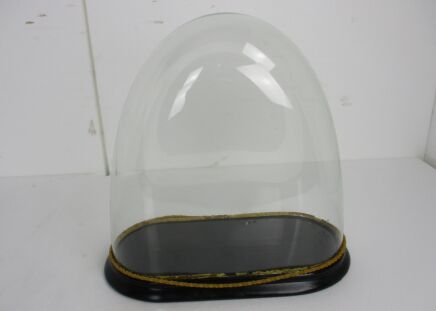 Antique Victorian Oval Hand Blown Glass Globe Dome Doll Clock 17.12" H 17.71"!!