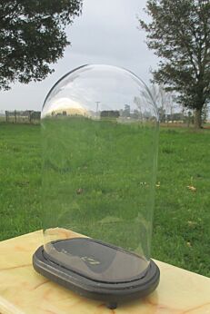 Vintage oval Glass Globe Dome Bell Cloche Display Hand Made Taxidermy Steampunk
