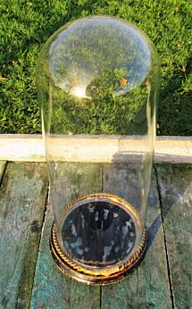 Antique Round Hand Blown Glass Globe Dome Taxidermy Steampunk Display 18.19"