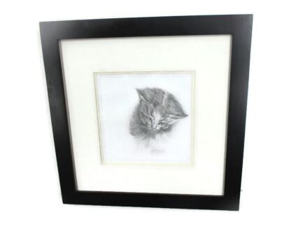 Pen Drawing by Hubert Stuyvaert titled the Cat Gorgeous Portrait of a Kitten Framed Wood