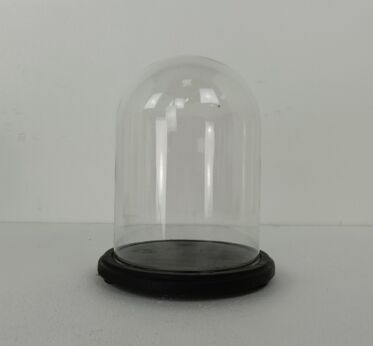 Small Vintage Round Hand Blown Glass Dome Globe Steampunk Display 12.2" D 8.66'