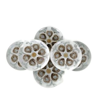 stylish Set of 6 French Oyster Plates Porcelain Faience de St Amand Hand Painted 
