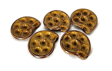 Set of 5 French Escargots Snail Plates Dishes Terra Cotta St Clément vintage
