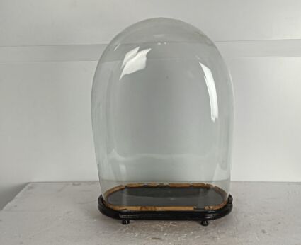 Antique Victorian Oval Hand-Blown Glass Globe Dome with Wooden Base