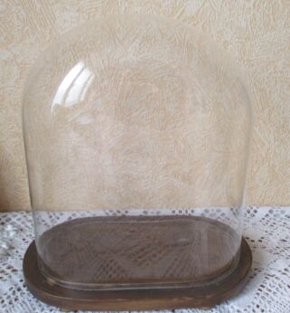 Antique Oval Hand Blown Glass Globe Dome Taxidermy Steampunk 12"