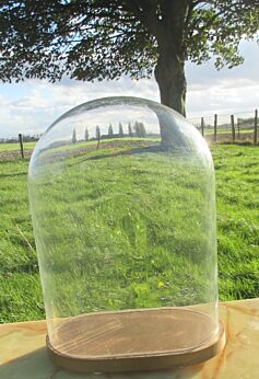 Vintage Oval Glass Globe Dome Bell Cloche Display Hand blown Taxidermy Clock doll antique supply