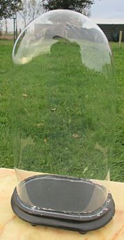L Antique Victorian Oval Hand Blown Glass Globe Dome Taxidermy Steampunk Display