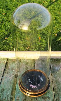 Antique Round Hand Blown Glass Dome Globe Steampunk Taxidermy Clock 19.25"