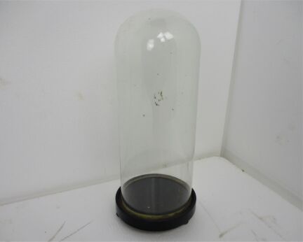 Antique Round Hand Blown Glass Globe Dome Taxidermy Steampunk Clock 15.74" 6.1"