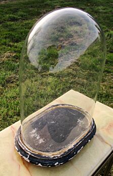 Antique Victorian Oval Hand Blown Glass Globe Dome Taxidermy Steampunk 12.99"